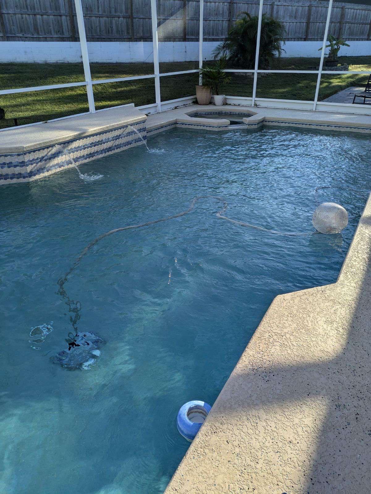 Pool after cleaning