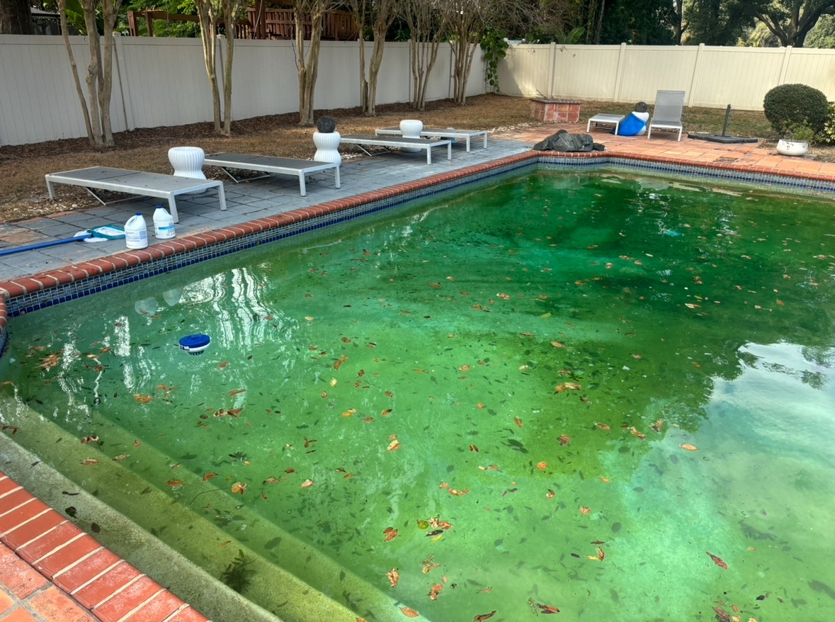 Pool before cleaning