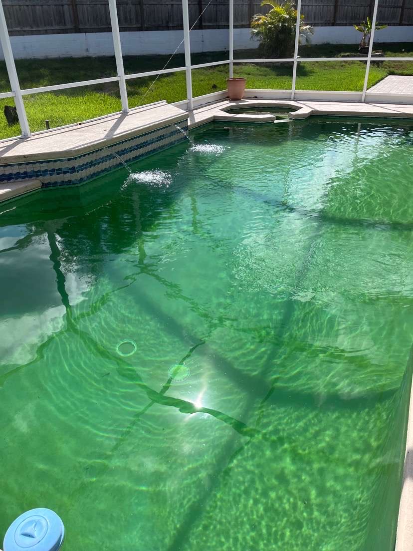 Pool before cleaning